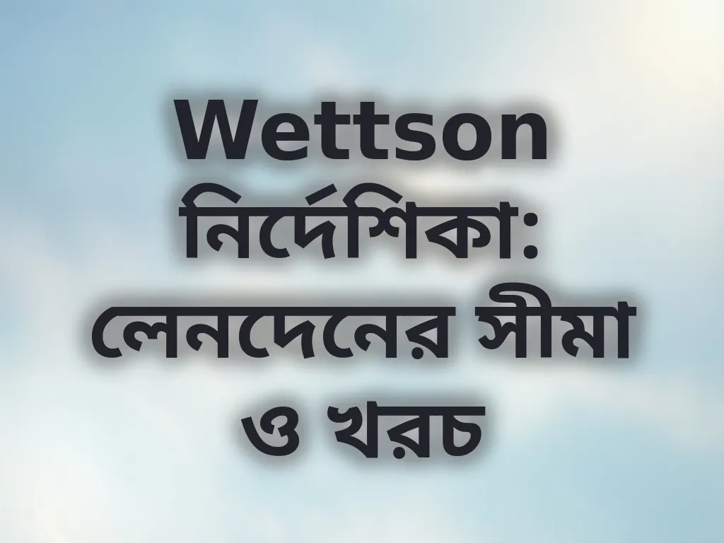 লেনদেনের সীমা